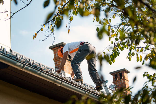 Best Affordable Roofing Company  in Fort Totten, ND